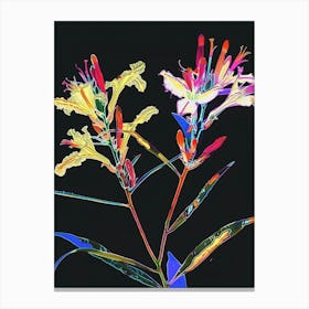 Neon Flowers On Black Statice 3 Canvas Print