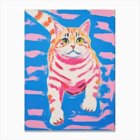 Cat On A Pink Stripe Canvas Print