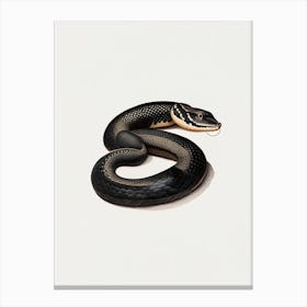 Black Moccasin Snake Vintage Canvas Print