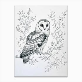 Boreal Owl Marker Drawing 2 Canvas Print