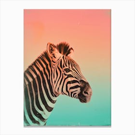Zebra Polaroid Inspired Canvas Print