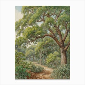 Path Through The Woods 1 Canvas Print
