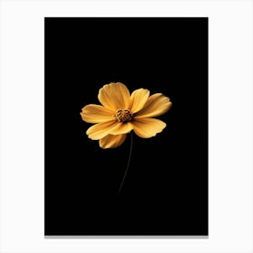 Yellow Flower On Black Background 3 Canvas Print