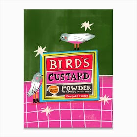 Birds Custard Powder Box Neon Food Canvas Print