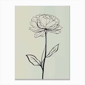 Line Art Marigold Flowers Illustration Neutral 10 Canvas Print