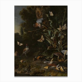 Birds, Butterflies And A Frog Among Plants And Fungi, Melchior D'Hondecoeter Canvas Print