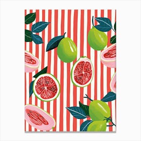 Guava Fruit Summer Illustration 3 Canvas Print