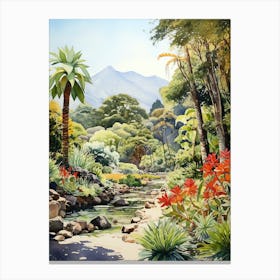 Kirstenbosch Botanical Garden South Africa Watercolour 3 Canvas Print