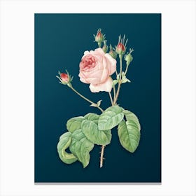 Vintage Cabbage Rose Botanical Art on Teal Blue n.0655 Canvas Print