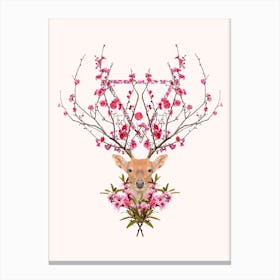 Spring Deer Canvas Print