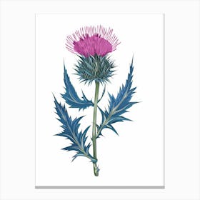 Thistle 2 Canvas Print