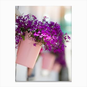 Purple Flowers In A Bucket Canvas Print