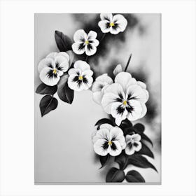 Pansy B&W Pencil 1 Flower Canvas Print