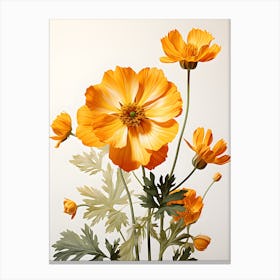 Cosmos Canvas Print