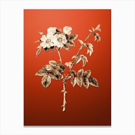 Gold Botanical White Flowered Rose on Tomato Red Canvas Print
