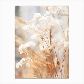 Boho Dried Flowers Gypsophila 1 Canvas Print