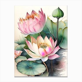 Lotus Flowers In Garden Watercolour Ink Pencil 1 Canvas Print