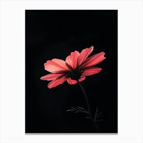 Dark Red Flower 2 Canvas Print