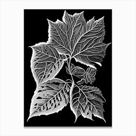 Raspberry Leaf Linocut 4 Canvas Print