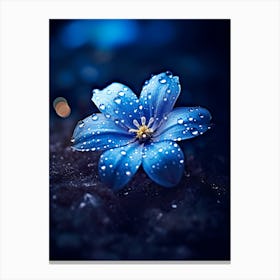 Beautiful Winter Flower 5 Canvas Print