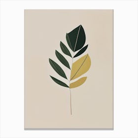 Curry Leaf Herb Simplicity Canvas Print