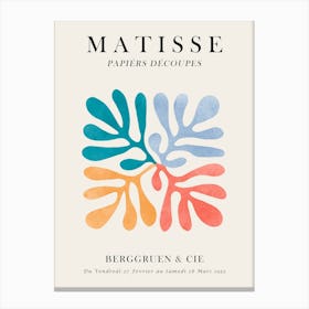 Floral matisse 15 Canvas Print