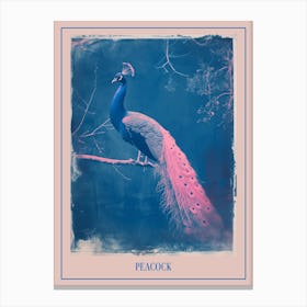 Blue & Pink Peacock On A Tree 1 Poster Canvas Print