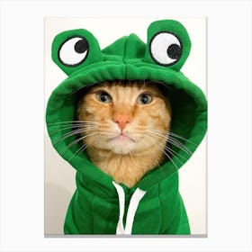 Frog Cat, funny cat, cat christmas funny, funny cat tree, funny cat sweater, funny cat products, cat cat funny, cat funny cat, cat silly, funny about cats, funny cat funny, Canvas Print