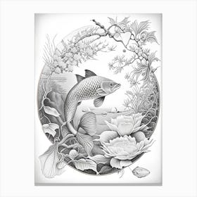 Kinsui Koi Fish Haeckel Style Illustastration Canvas Print