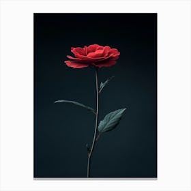 Single Red Rose 20 Canvas Print