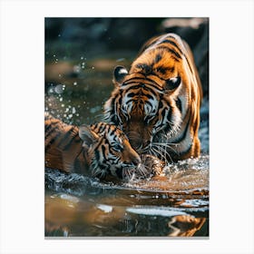 Tiger Cubs Playing In Water Canvas Print