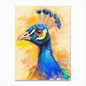 Peacock Portrait Sketch 4 Canvas Print