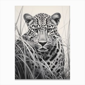 African Leopard Realism Portrait 1 Canvas Print