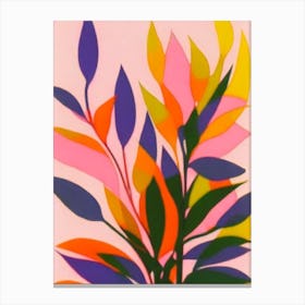 Asparagus Fern Colourful Illustration Plant Canvas Print