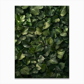 Green Ivy Wall Canvas Print