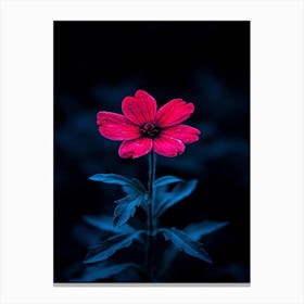 Red Flower 6 Canvas Print