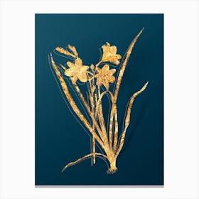 Vintage Daylily Botanical in Gold on Teal Blue n.0055 Canvas Print