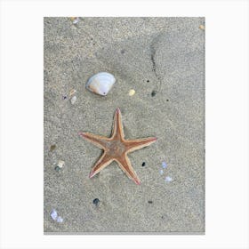 Starfish On The Beach 1 Canvas Print