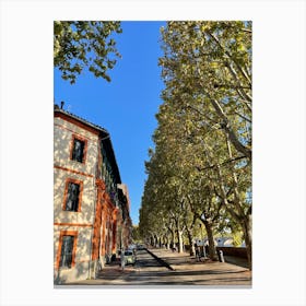 Toulouse Canvas Print