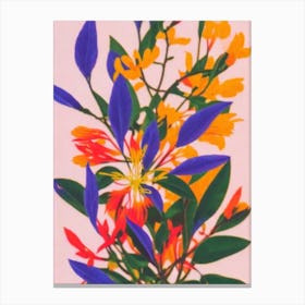 Himalayan Honeysuckle Colourful Illustration Plant Canvas Print
