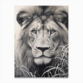 African Lion Realism Portrait 3 Canvas Print
