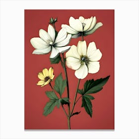 Anemones 7 Canvas Print