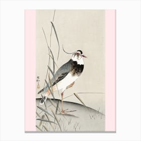 Lapwing And Reed, Ohara Koson (1900 1930), Ohara Koson Canvas Print