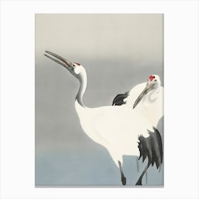 Cranes Canvas Print