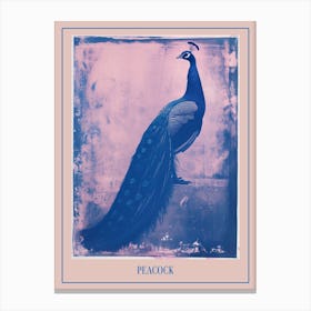 Pink & Blue Peacock Cyanotype Style 3 Poster Canvas Print