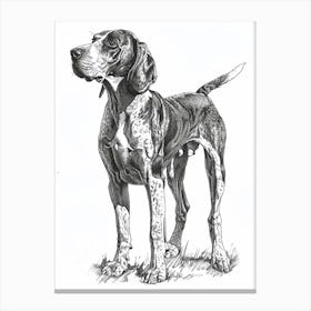 Plott Hound Dog Line Sketch 3 Canvas Print