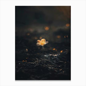 Single Flower In The Dark 63 Canvas Print