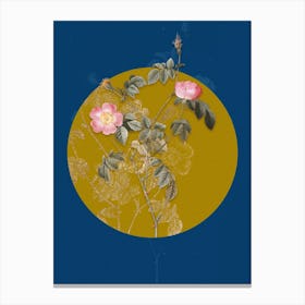 Vintage Botanical Pink Austrian Copper Rose on Circle Yellow on Blue n.0044 Canvas Print