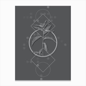Vintage Dayflower Botanical with Line Motif and Dot Pattern in Ghost Gray n.0033 Canvas Print