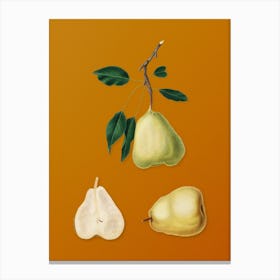 Vintage Pear Botanical on Sunset Orange n.0225 Canvas Print